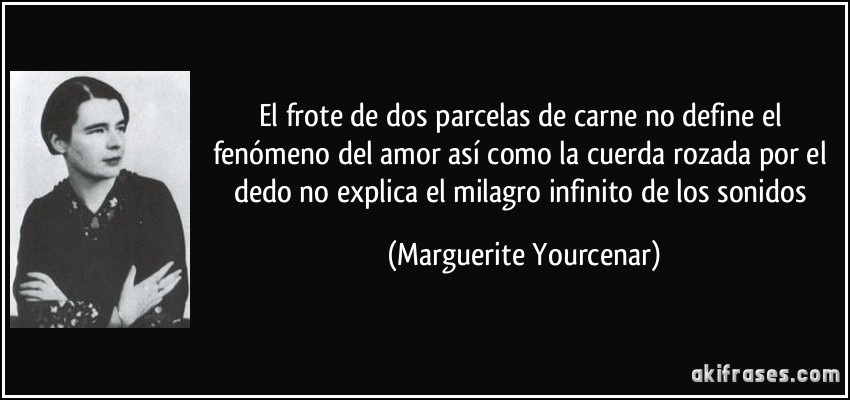 El frote de dos parcelas de carne no define el fenómeno del amor así como la cuerda rozada por el dedo no explica el milagro infinito de los sonidos (Marguerite Yourcenar)