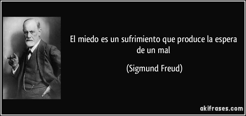 El miedo es un sufrimiento que produce la espera de un mal (Sigmund Freud)