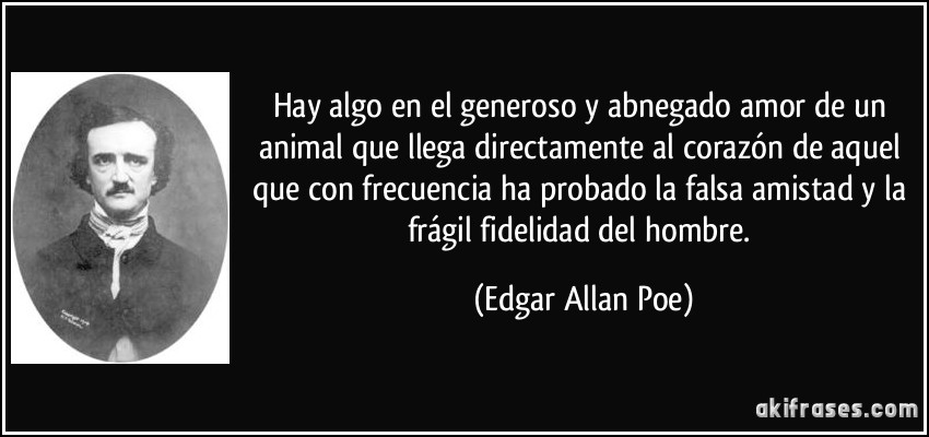 Hay algo en el generoso y abnegado amor de un animal que llega directamente al corazón de aquel que con frecuencia ha probado la falsa amistad y la frágil fidelidad del hombre. (Edgar Allan Poe)