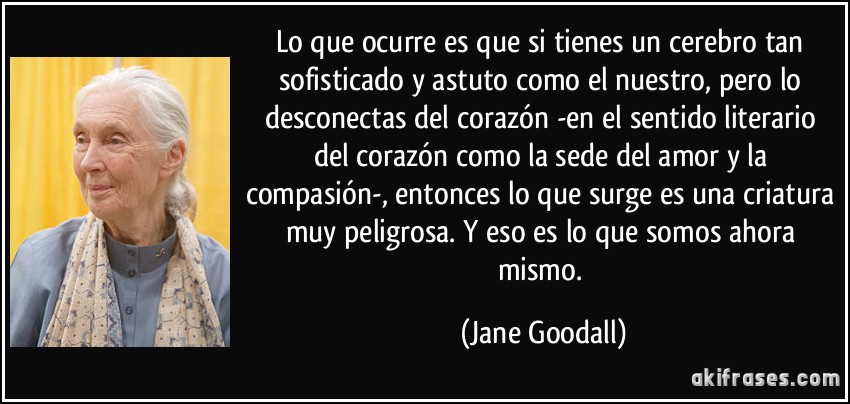 Lo que ocurre es que si tienes un cerebro tan sofisticado y astuto como el nuestro, pero lo desconectas del corazón -en el sentido literario del corazón como la sede del amor y la compasión-, entonces lo que surge es una criatura muy peligrosa. Y eso es lo que somos ahora mismo. (Jane Goodall)