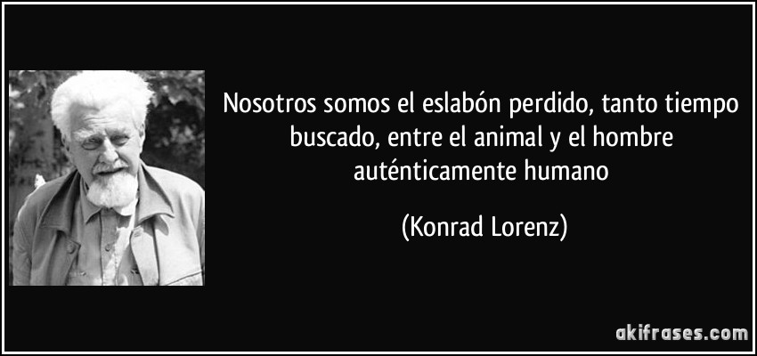 Nosotros somos el eslabón perdido, tanto tiempo buscado, entre el animal y el hombre auténticamente humano (Konrad Lorenz)