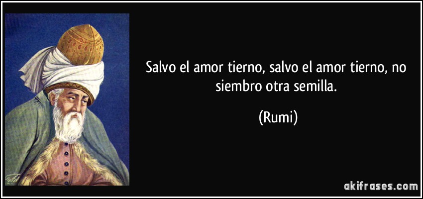 Salvo el amor tierno, salvo el amor tierno, no siembro otra semilla. (Rumi)