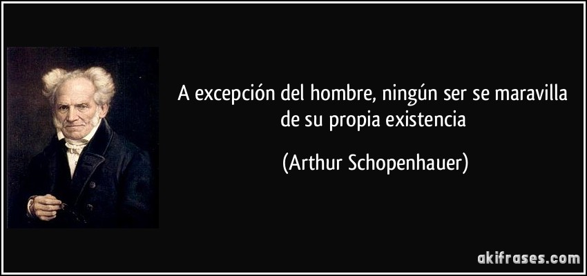 A excepción del hombre, ningún ser se maravilla de su propia existencia (Arthur Schopenhauer)