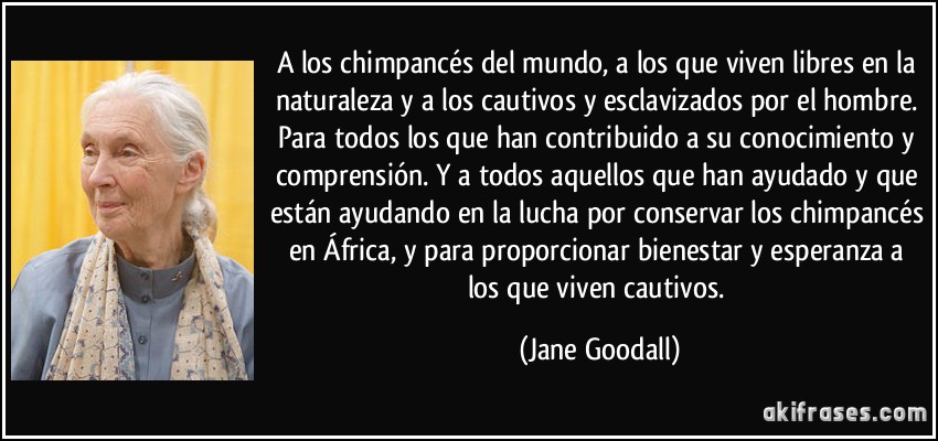 A los chimpancés del mundo, a los que viven libres en la naturaleza y a los cautivos y esclavizados por el hombre. Para todos los que han contribuido a su conocimiento y comprensión. Y a todos aquellos que han ayudado y que están ayudando en la lucha por conservar los chimpancés en África, y para proporcionar bienestar y esperanza a los que viven cautivos. (Jane Goodall)