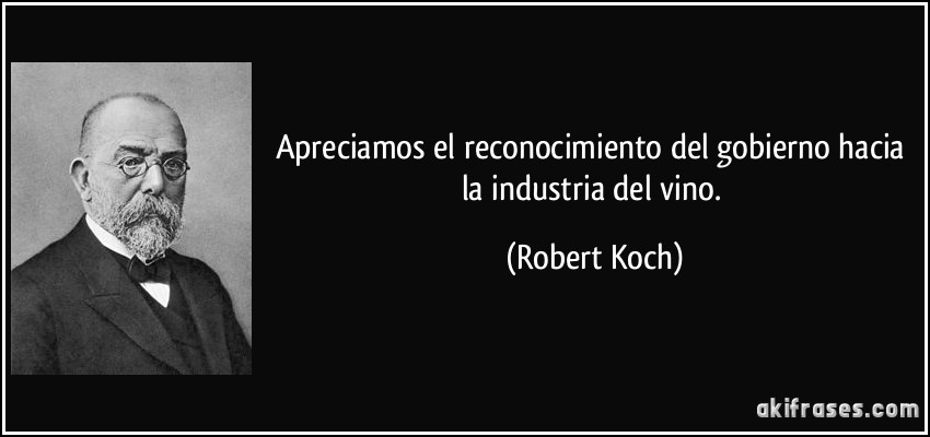 Apreciamos el reconocimiento del gobierno hacia la industria del vino. (Robert Koch)