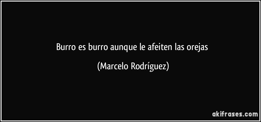 burro es burro aunque le afeiten las orejas (Marcelo Rodríguez)