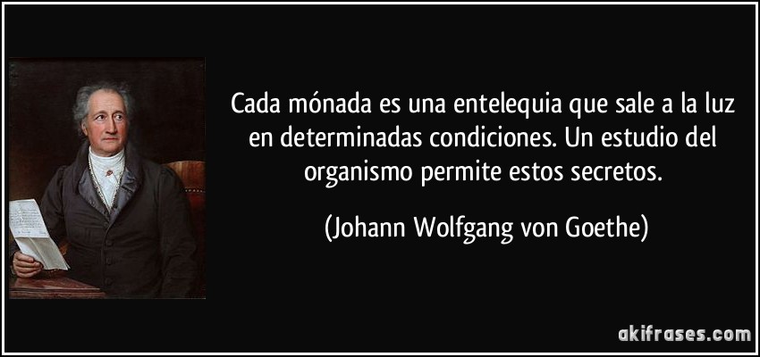 Cada mónada es una entelequia que sale a la luz en determinadas condiciones. Un estudio del organismo permite estos secretos. (Johann Wolfgang von Goethe)