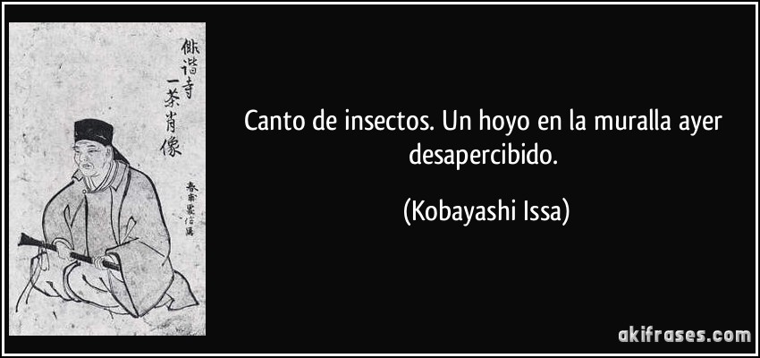 Canto de insectos. Un hoyo en la muralla ayer desapercibido. (Kobayashi Issa)