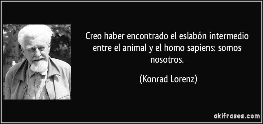 Creo haber encontrado el eslabón intermedio entre el animal y el homo sapiens: somos nosotros. (Konrad Lorenz)