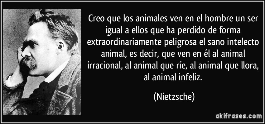 Creo que los animales ven en el hombre un ser igual a ellos que ha perdido de forma extraordinariamente peligrosa el sano intelecto animal, es decir, que ven en él al animal irracional, al animal que ríe, al animal que llora, al animal infeliz. (Nietzsche)