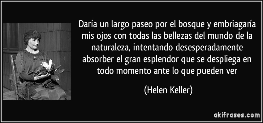 Daría un largo paseo por el bosque y embriagaría mis ojos con todas las bellezas del mundo de la naturaleza, intentando desesperadamente absorber el gran esplendor que se despliega en todo momento ante lo que pueden ver (Helen Keller)