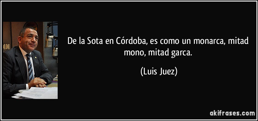 De la Sota en Córdoba, es como un monarca, mitad mono, mitad garca. (Luis Juez)