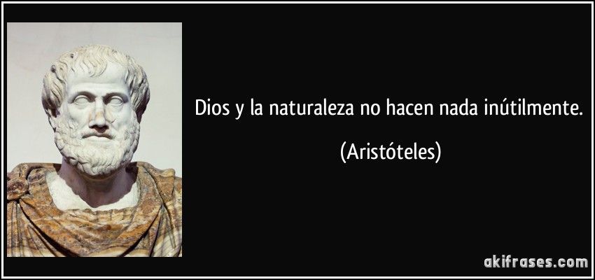 Dios y la naturaleza no hacen nada inútilmente. (Aristóteles)