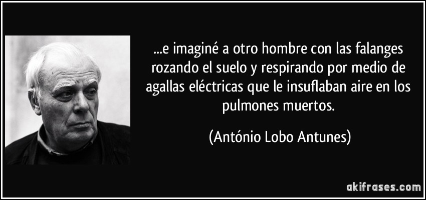 ...e imaginé a otro hombre con las falanges rozando el suelo y respirando por medio de agallas eléctricas que le insuflaban aire en los pulmones muertos. (António Lobo Antunes)