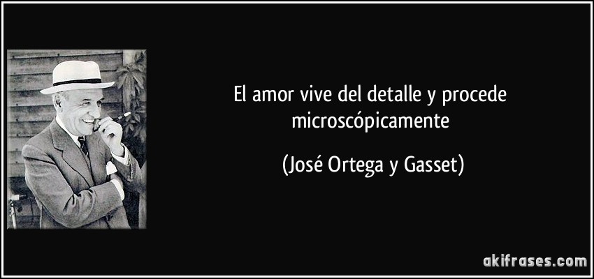 El amor vive del detalle y procede microscópicamente (José Ortega y Gasset)