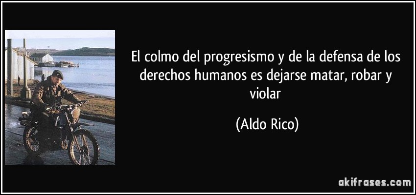 El colmo del progresismo y de la defensa de los derechos humanos es dejarse matar, robar y violar (Aldo Rico)