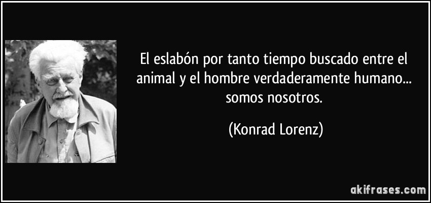 El eslabón por tanto tiempo buscado entre el animal y el hombre verdaderamente humano... somos nosotros. (Konrad Lorenz)