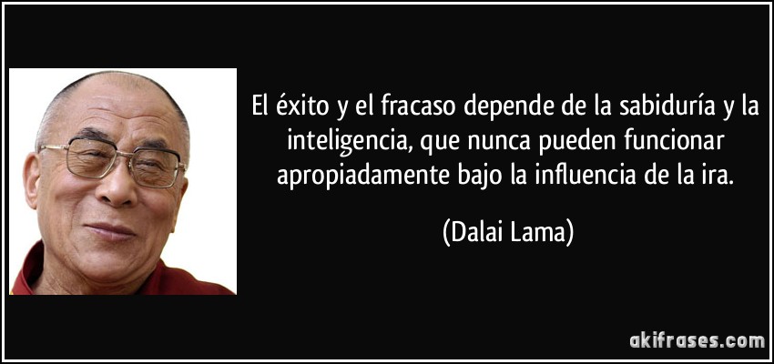El éxito y el fracaso depende de la sabiduría y la inteligencia, que nunca pueden funcionar apropiadamente bajo la influencia de la ira. (Dalai Lama)