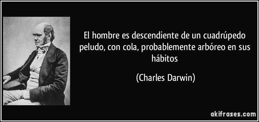 El hombre es descendiente de un cuadrúpedo peludo, con cola, probablemente arbóreo en sus hábitos (Charles Darwin)