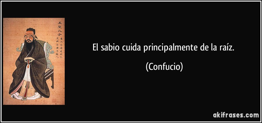 El sabio cuida principalmente de la raíz. (Confucio)