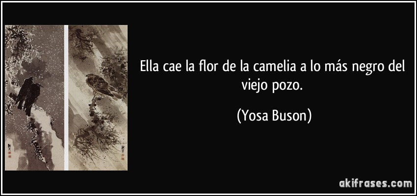 Ella cae la flor de la camelia a lo más negro del viejo pozo.