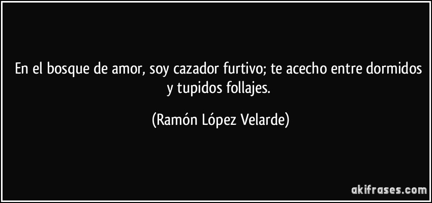 En el bosque de amor, soy cazador furtivo; te acecho entre dormidos y tupidos follajes. (Ramón López Velarde)