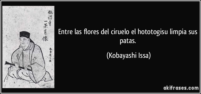 Entre las flores del ciruelo el hototogisu limpia sus patas. (Kobayashi Issa)