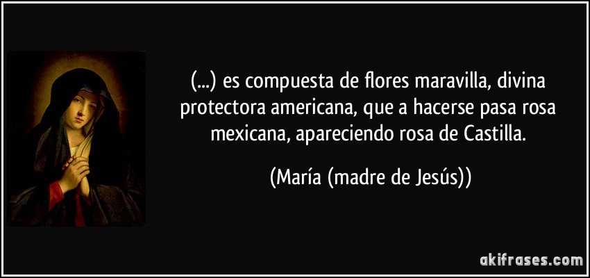 (...) es compuesta de flores maravilla, / divina protectora americana, / que a hacerse pasa rosa mexicana, / apareciendo rosa de Castilla. (María (madre de Jesús))