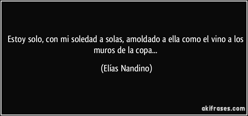 Estoy solo, con mi soledad a solas, amoldado a ella como el vino a los muros de la copa... (Elías Nandino)