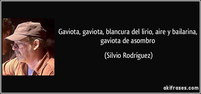 Gaviota, gaviota, blancura del lirio, aire y bailarina, gaviota de asombro (Silvio Rodríguez)