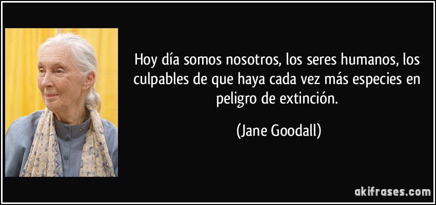 Hoy día somos nosotros, los seres humanos, los culpables de que haya cada vez más especies en peligro de extinción. (Jane Goodall)