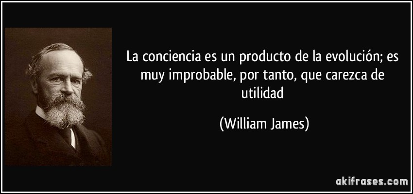 La conciencia es un producto de la evolución; es muy improbable, por tanto, que carezca de utilidad (William James)