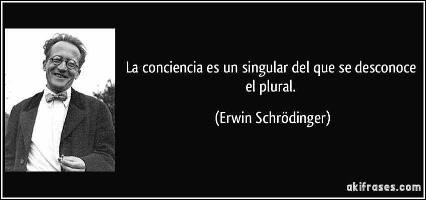 La conciencia es un singular del que se desconoce el plural. (Erwin Schrödinger)