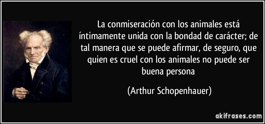 La conmiseración con los animales está íntimamente unida con la bondad de carácter; de tal manera que se puede afirmar, de seguro, que quien es cruel con los animales no puede ser buena persona (Arthur Schopenhauer)