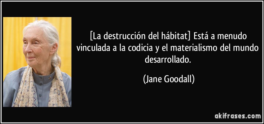 [La destrucción del hábitat] Está a menudo vinculada a la codicia y el materialismo del mundo desarrollado. (Jane Goodall)