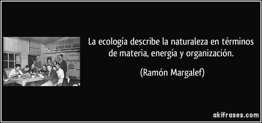La ecología describe la naturaleza en términos de materia, energía y organización. (Ramón Margalef)