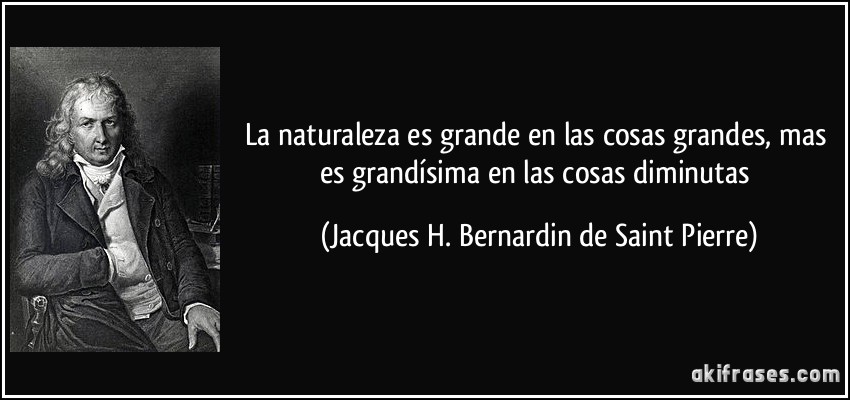 La naturaleza es grande en las cosas grandes, mas es grandísima en las cosas diminutas (Jacques H. Bernardin de Saint Pierre)