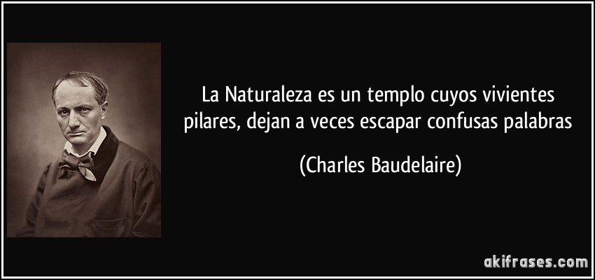 La Naturaleza es un templo cuyos vivientes pilares, dejan a veces escapar confusas palabras (Charles Baudelaire)