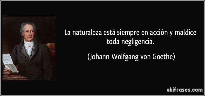 La naturaleza está siempre en acción y maldice toda negligencia. (Johann Wolfgang von Goethe)