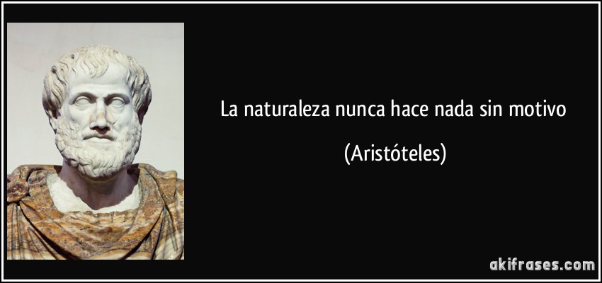 La naturaleza nunca hace nada sin motivo (Aristóteles)