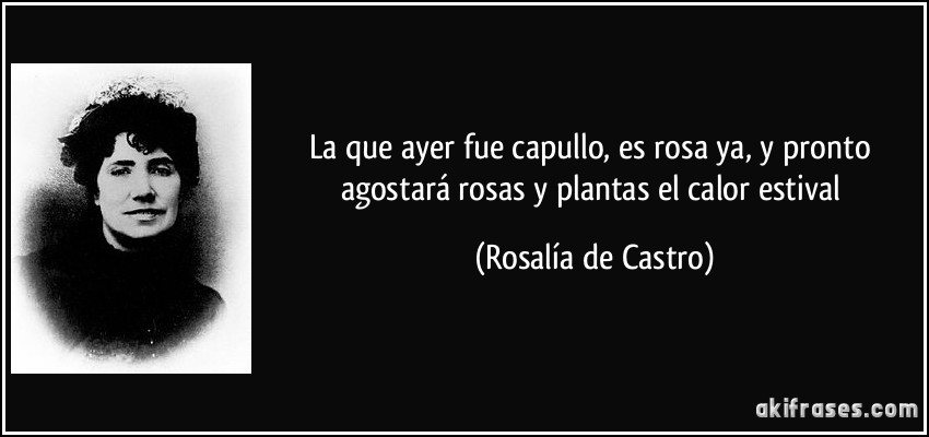 La que ayer fue capullo, es rosa ya, y pronto agostará rosas y plantas el calor estival (Rosalía de Castro)