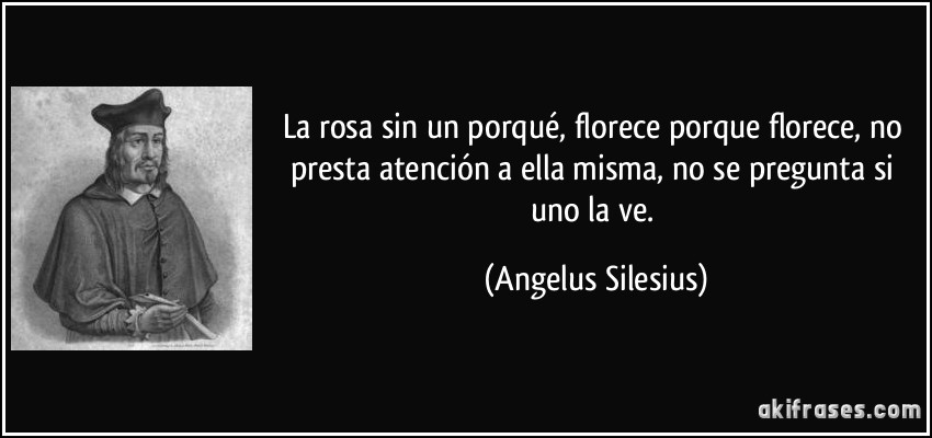 La rosa sin un porqué, florece porque florece, no presta atención a ella misma, no se pregunta si uno la ve. (Angelus Silesius)