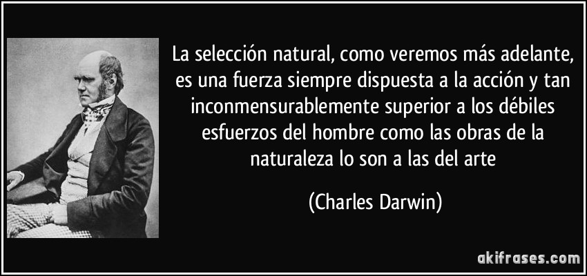 la selección natural, como veremos más adelante, es una fuerza siempre dispuesta a la acción y tan inconmensurablemente superior a los débiles esfuerzos del hombre como las obras de la naturaleza lo son a las del arte (Charles Darwin)