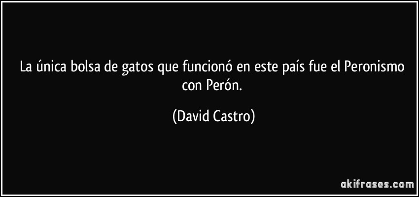 La única bolsa de gatos que funcionó en este país fue el Peronismo con Perón. (David Castro)