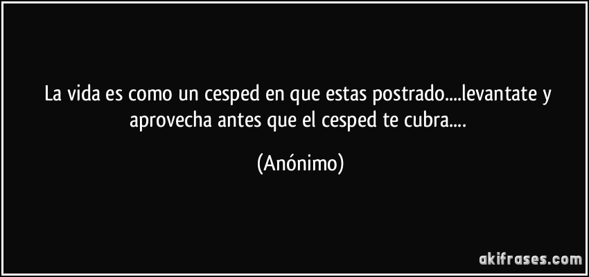 La vida es como un cesped en que estas postrado....levantate y aprovecha antes que el cesped te cubra.... (Anónimo)