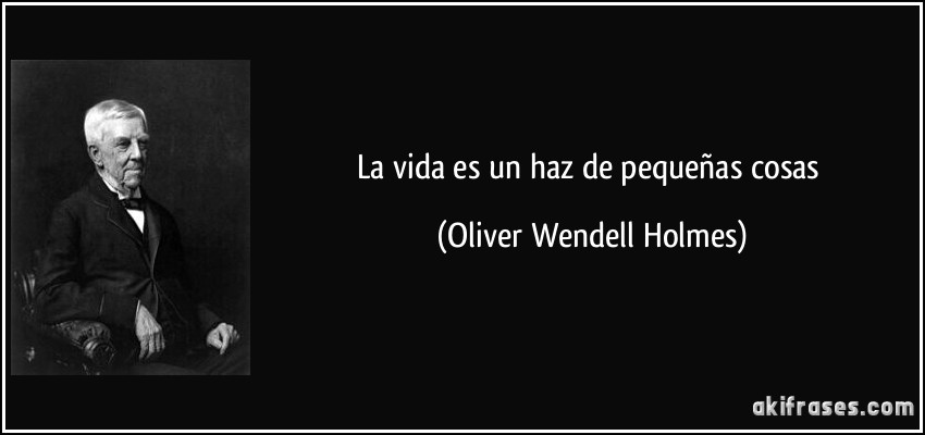 La vida es un haz de pequeñas cosas (Oliver Wendell Holmes)