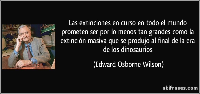 Las extinciones en curso en todo el mundo prometen ser por lo menos tan grandes como la extinción masiva que se produjo al final de la era de los dinosaurios (Edward Osborne Wilson)