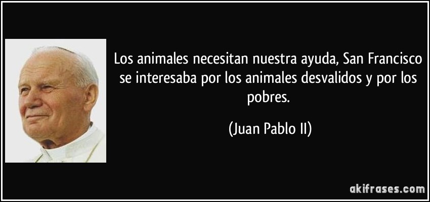 Los animales necesitan nuestra ayuda, San Francisco se interesaba por los animales desvalidos y por los pobres. (Juan Pablo II)