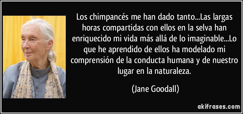 Los chimpancés me han dado tanto...Las largas horas compartidas con ellos en la selva han enriquecido mi vida más allá de lo imaginable...Lo que he aprendido de ellos ha modelado mi comprensión de la conducta humana y de nuestro lugar en la naturaleza. (Jane Goodall)