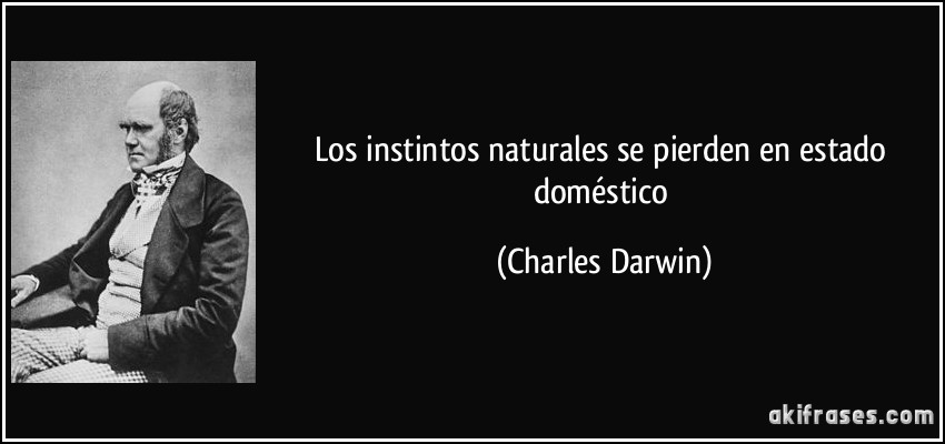 Los instintos naturales se pierden en estado doméstico (Charles Darwin)